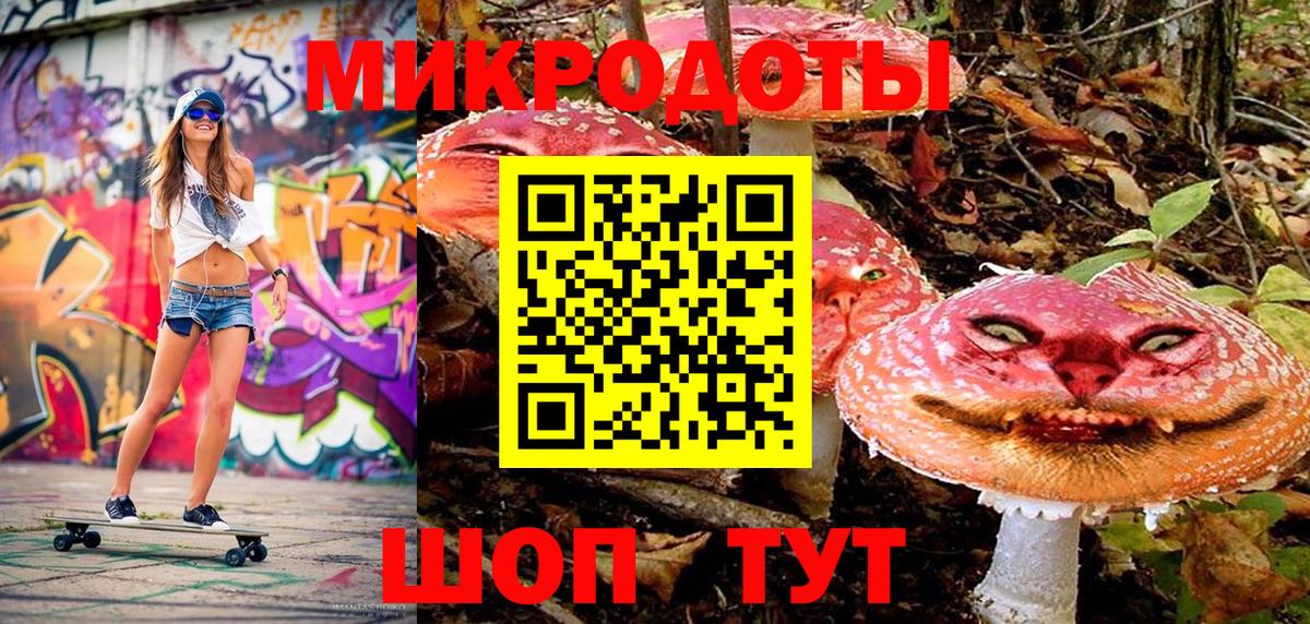 Псилоцибиновые грибы Psilocybine cubensis Саранск