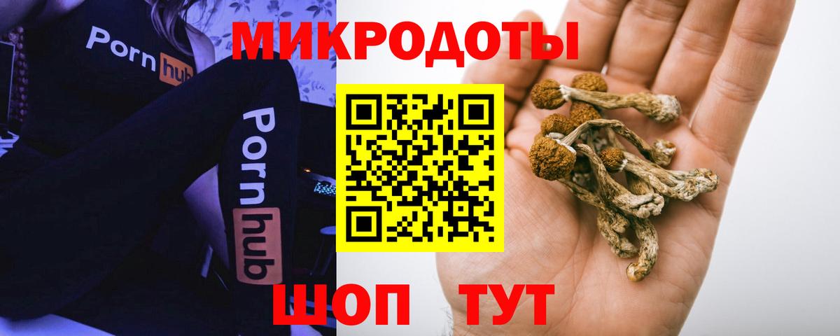 Саранск  Псилоцибиновые грибы Cubensis  Вход с VPN 